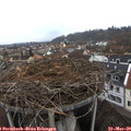 17_15-nest.jpg