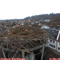 17_55-nest.jpg