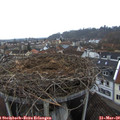 18_00-nest.jpg
