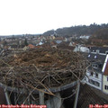 18_10-nest.jpg