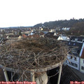 06_25-nest.jpg