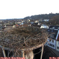 06_30-nest.jpg