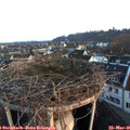 06_35-nest.jpg