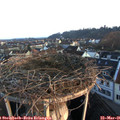 06_40-nest.jpg