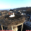 07_00-nest.jpg