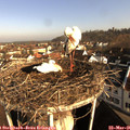 08_00-nest.jpg