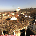 08_20-nest.jpg