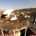 08_25-nest.jpg