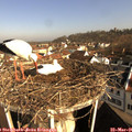 08_30-nest.jpg