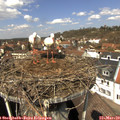 12_25-nest.jpg