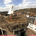 14_05-nest.jpg