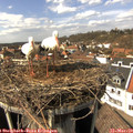 14_15-nest.jpg