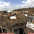 14_25-nest.jpg