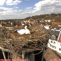 14_30-nest.jpg