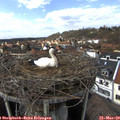 14_35-nest.jpg