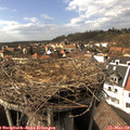14_55-nest.jpg