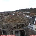 15_00-nest.jpg