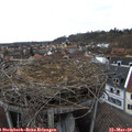 15_05-nest.jpg