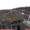 15_10-nest.jpg