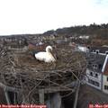 15_35-nest.jpg