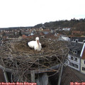 15_40-nest.jpg