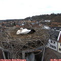 15_45-nest.jpg