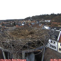 16_00-nest.jpg