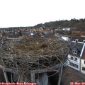 16_05-nest.jpg