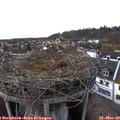 16_10-nest.jpg