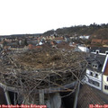 16_15-nest.jpg