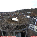 16_35-nest.jpg