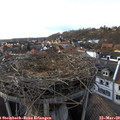 17_10-nest.jpg