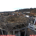 17_15-nest.jpg