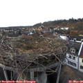 17_20-nest.jpg