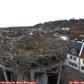 17_25-nest.jpg