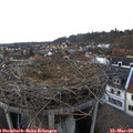 17_35-nest.jpg