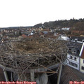17_40-nest.jpg