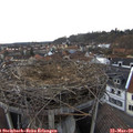17_45-nest.jpg