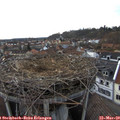 17_55-nest.jpg
