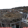 18_00-nest.jpg