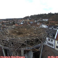 18_05-nest.jpg
