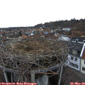 18_20-nest.jpg