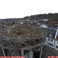 18_25-nest.jpg