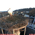 06_35-nest.jpg