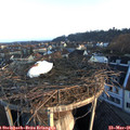 06_40-nest.jpg