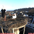 07_00-nest.jpg