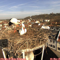 09_05-nest.jpg
