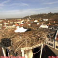09_20-nest.jpg