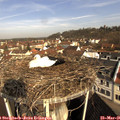 09_25-nest.jpg