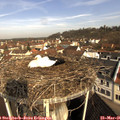 09_30-nest.jpg